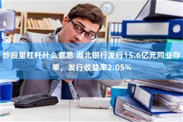 炒股里杠杆什么意思 湖北银行发行15.6亿元同业存单，发