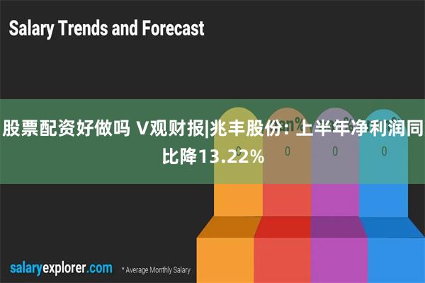 股票配资好做吗 V观财报|兆丰股份: 上半年净利润同比降13.22%