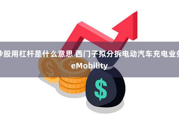 炒股用杠杆是什么意思 西门子拟分拆电动汽车充电业务eMobility