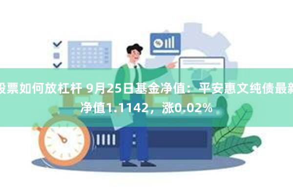 股票如何放杠杆 9月25日基金净值：平安惠文纯债最新净值1.1142，涨0.02%