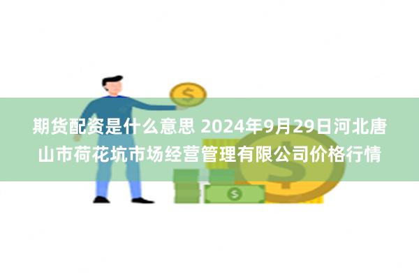 期货配资是什么意思 2024年9月29日河北唐山市荷花坑市场经营管理有限公司价格行情