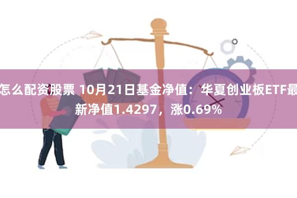 怎么配资股票 10月21日基金净值：华夏创业板ETF最新