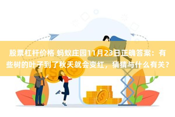 股票杠杆价格 蚂蚁庄园11月23日正确答案：有些树的叶子到了秋天就会变红，猜猜与什么有关？