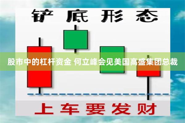 股市中的杠杆资金 何立峰会见美国高盛集团总裁