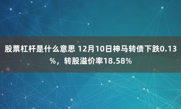 股票杠杆是什么意思 12月10日神马转债下跌0.13%，转股溢价率18.58%