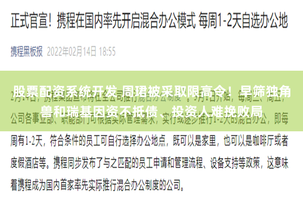 股票配资系统开发 周珺被采取限高令！早筛独角兽和瑞基因资不抵债、投资人难挽败局