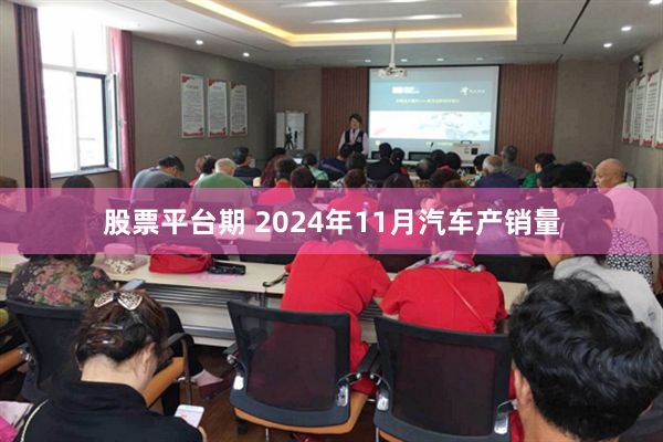 股票平台期 2024年11月汽车产销量