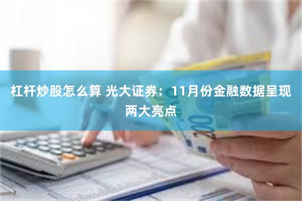 杠杆炒股怎么算 光大证券：11月份金融数据呈现两大亮点