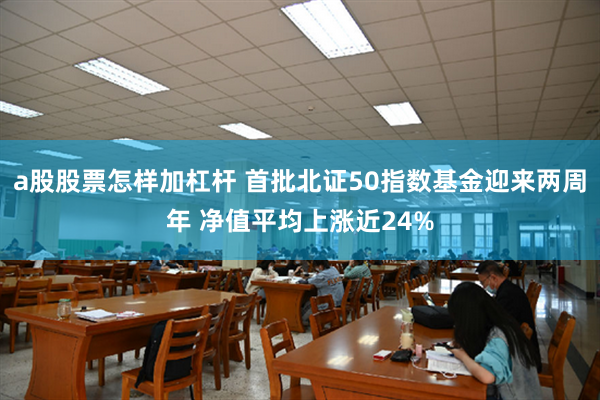 a股股票怎样加杠杆 首批北证50指数基金迎来两周年 净值平均上涨近24%