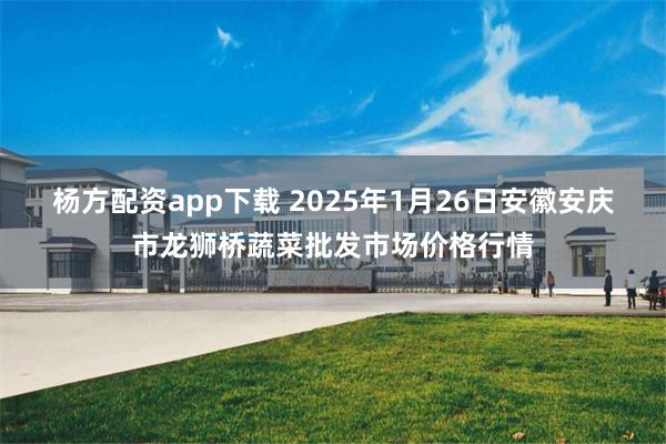 杨方配资app下载 2025年1月26日安徽安庆市龙狮桥蔬菜批发市场价格行情