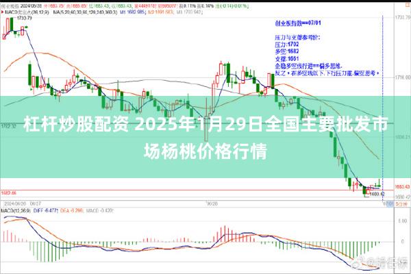 杠杆炒股配资 2025年1月29日全国主要批发市场杨桃价格行情