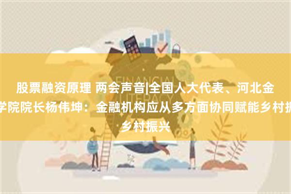 股票融资原理 两会声音|全国人大代表、河北金融学院院长杨伟坤：金融机构应从多方面协同赋能乡村振兴