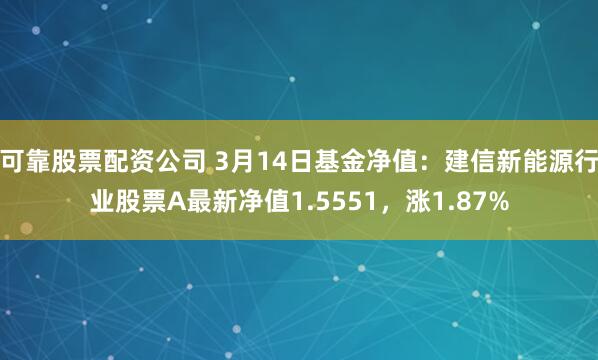 可靠股票配资公司 3月14日基金净值：建信新能源行业股票A最新净值1.5551，涨1.87%